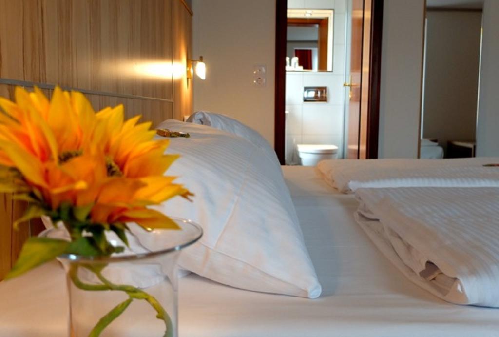 Hotel Am Schelztor Esslingen am Neckar Værelse billede